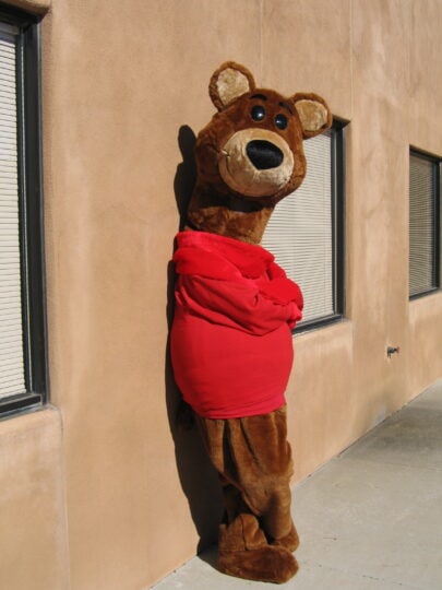 DNCU mascot, Baxter The Bear, leans against an adobe style wall with his arms crossed