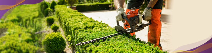 Person using a hedge trimmer to cut down green bushes outside.