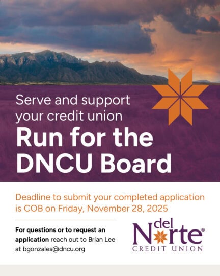 Run For The Board