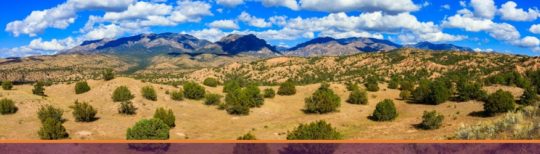 New Mexico Desert In Daylight