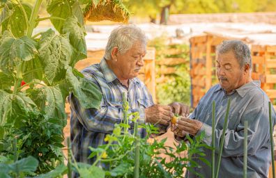 Two men discuss their spring crops