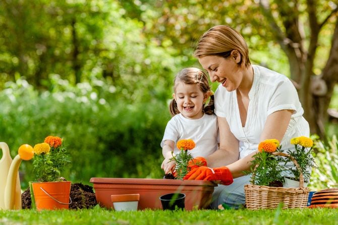 Spring Lending