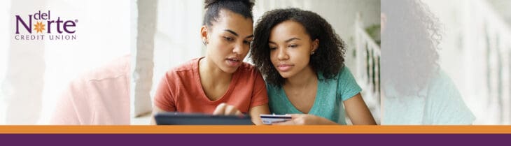 How To Safely Manage Your Finances Online Del Norte Credit Union
