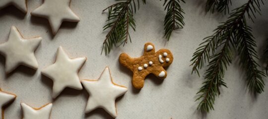 Christmas cookies on a white background, a sprig of evergreen.